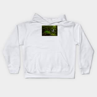 Horseshoe Falls III, Tasmania Kids Hoodie